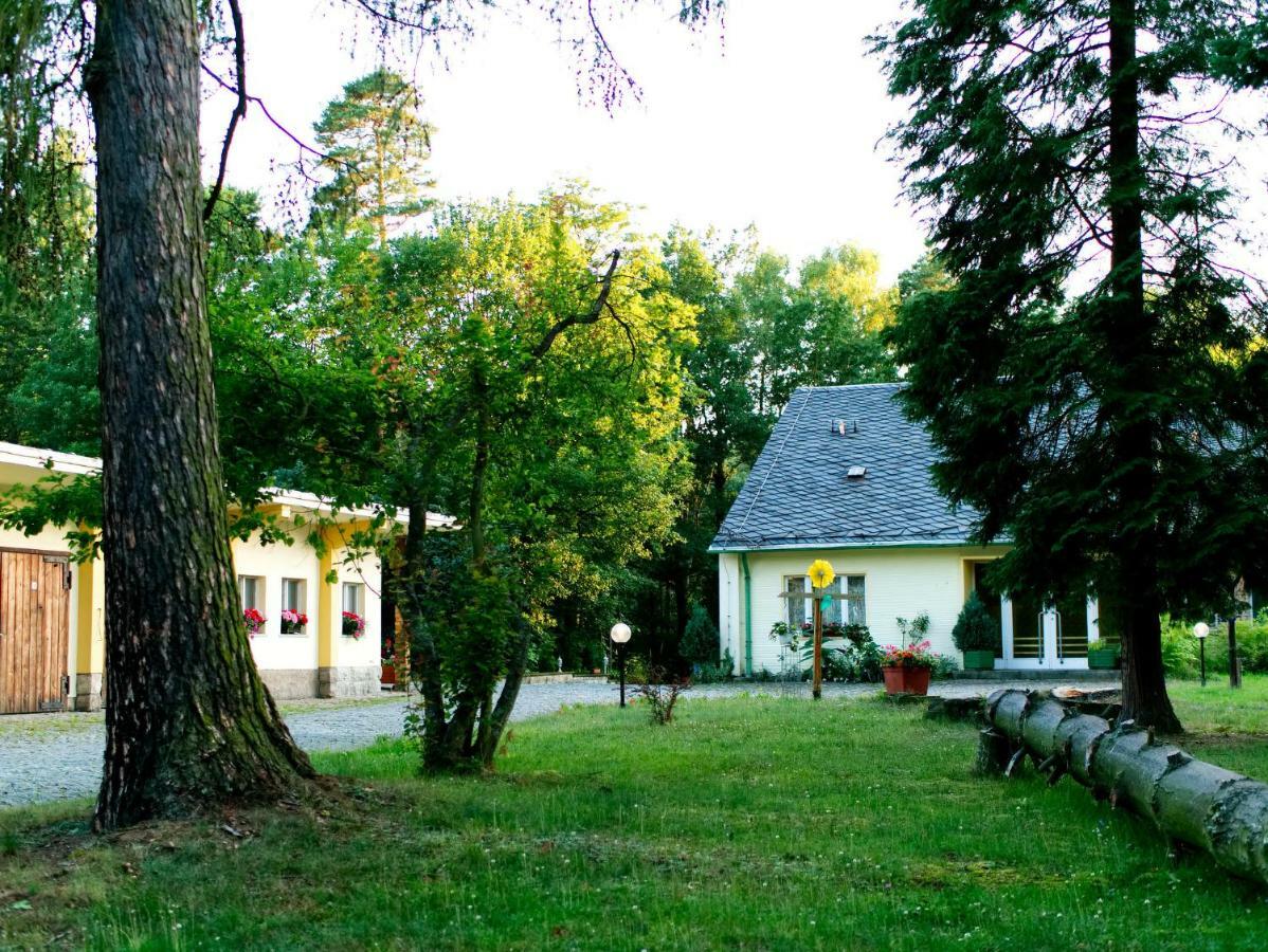 Hotel Albrechtshof Gohrisch Exteriér fotografie